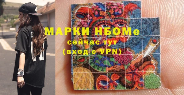 хмурый Арсеньев
