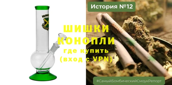 трава Балахна