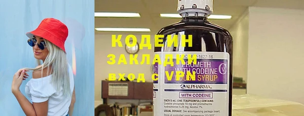 хмурый Арсеньев