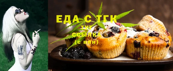 хмурый Арсеньев