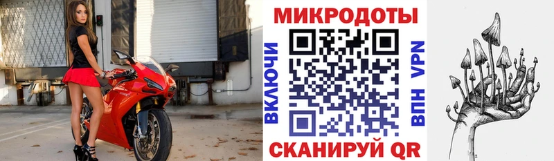 Галлюциногенные грибы мицелий  как найти   Осташков 